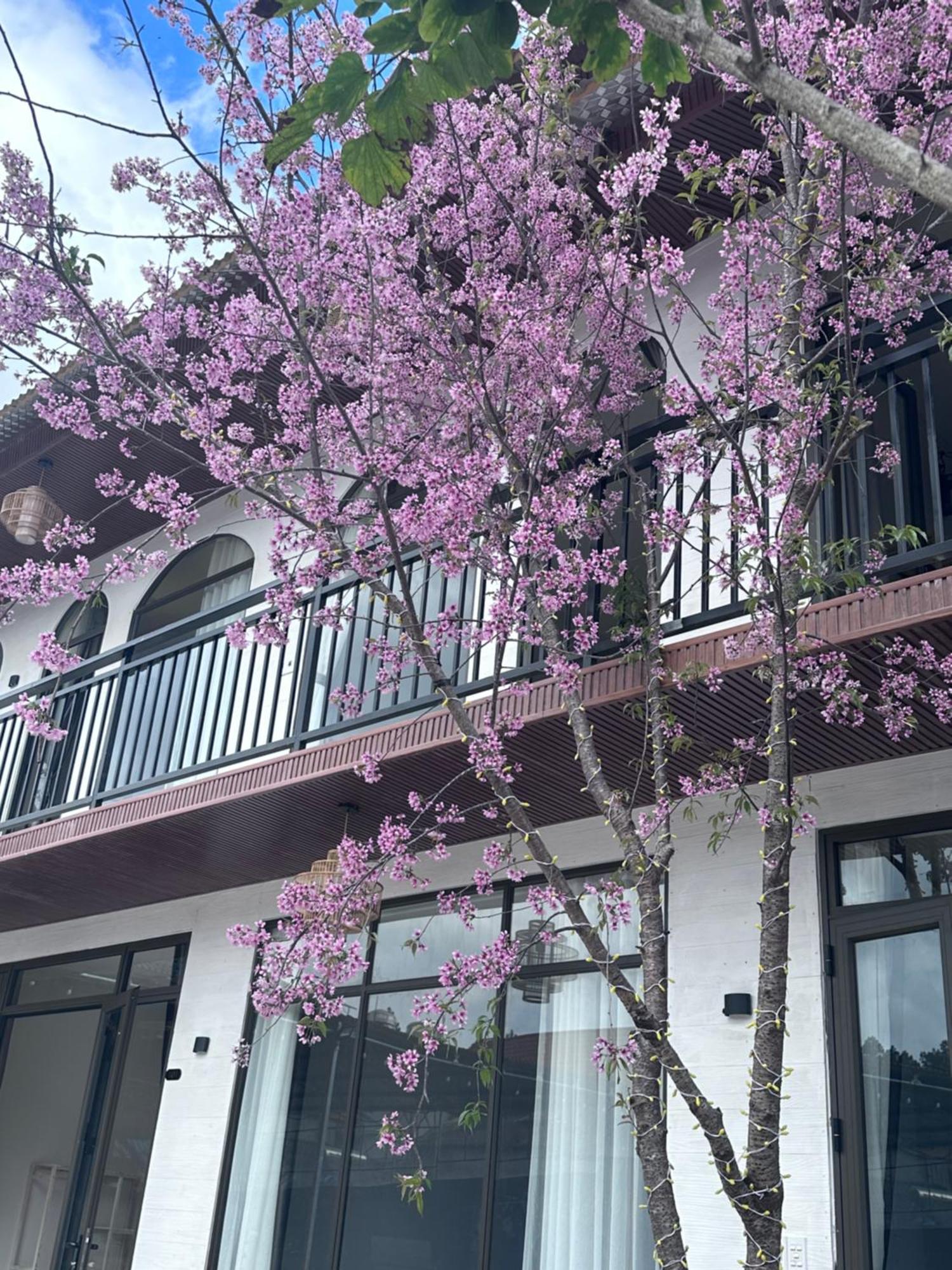 Bin House - Moc Chau Otel Dış mekan fotoğraf