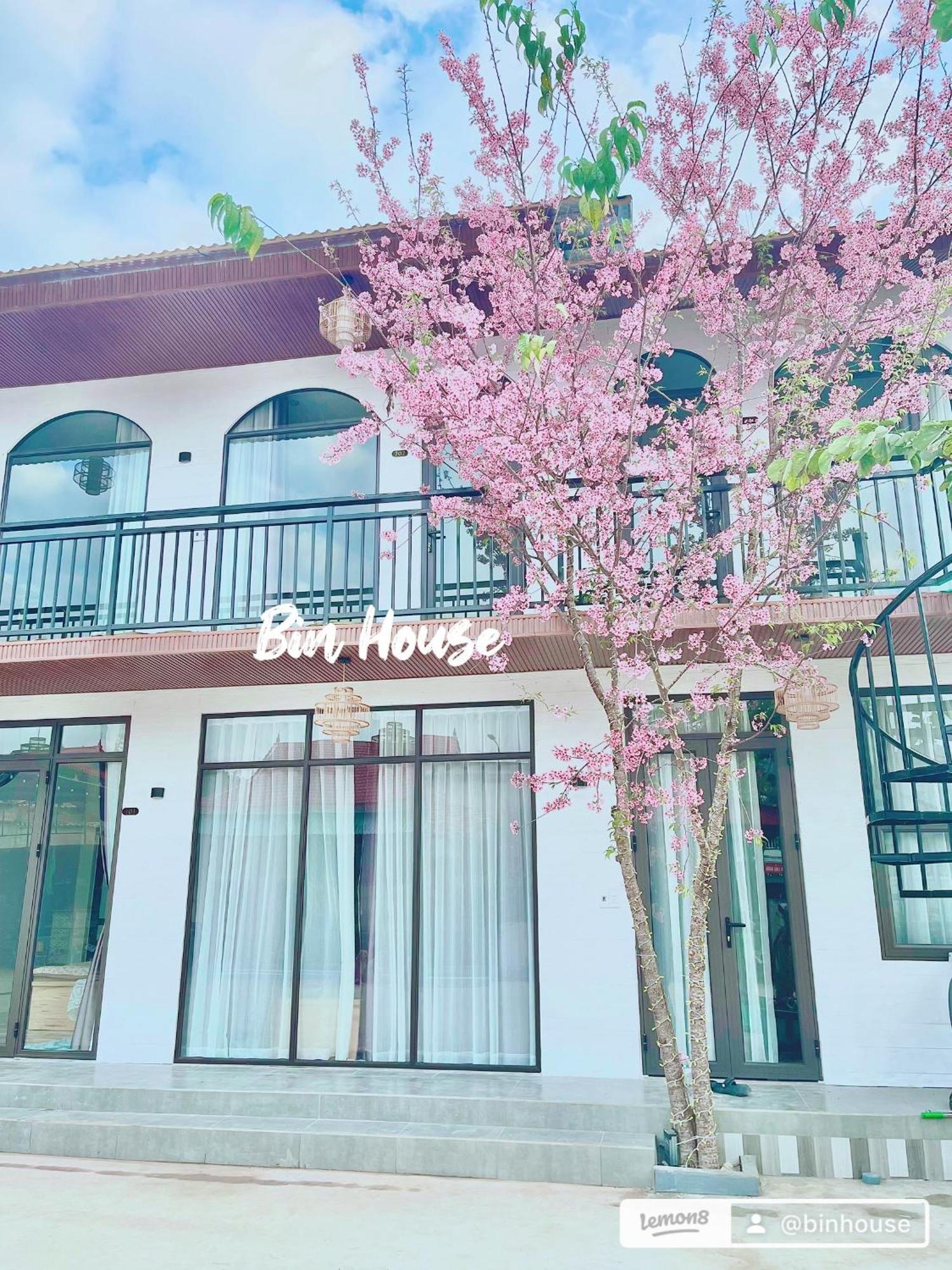 Bin House - Moc Chau Otel Dış mekan fotoğraf