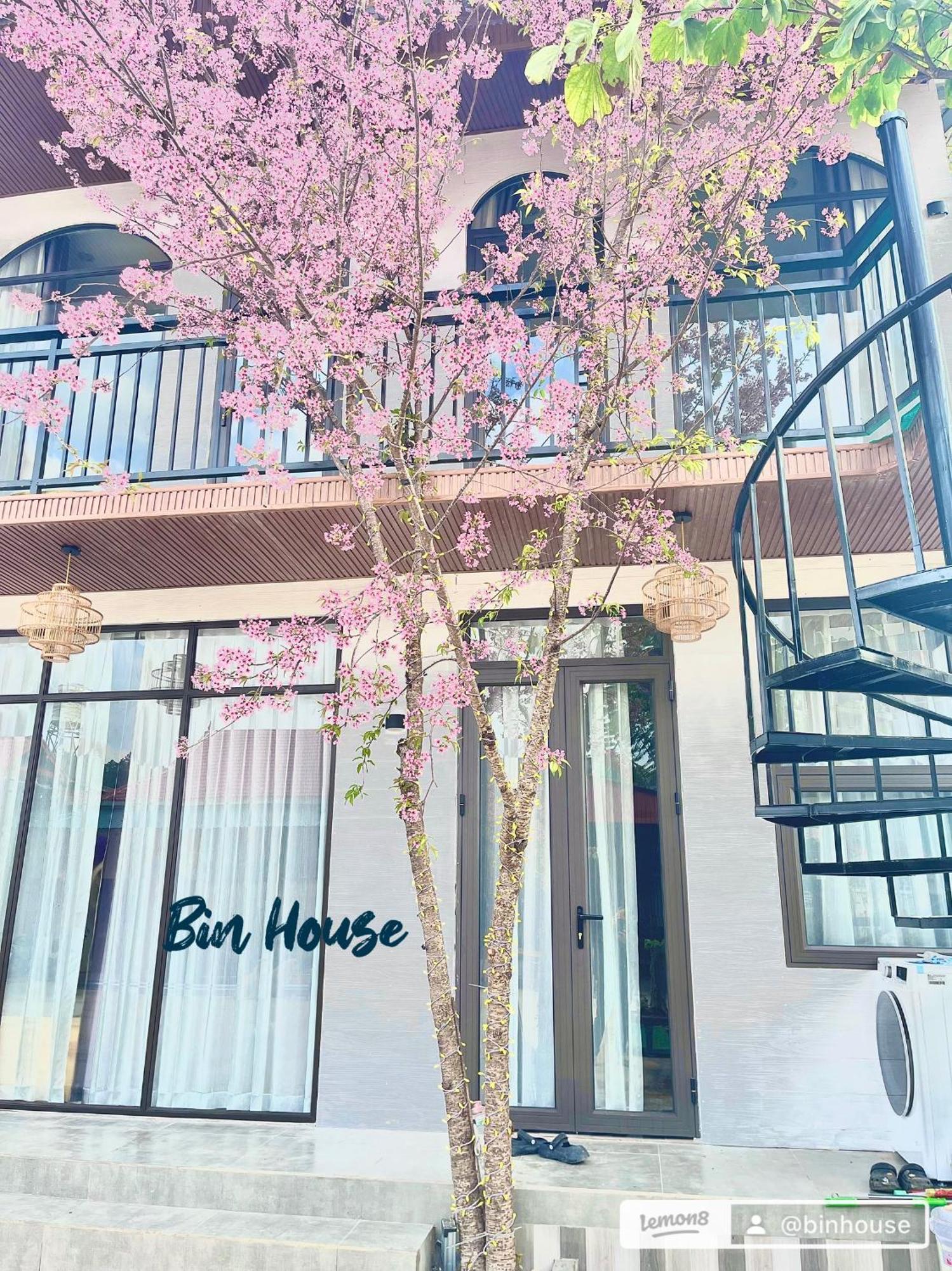 Bin House - Moc Chau Otel Dış mekan fotoğraf